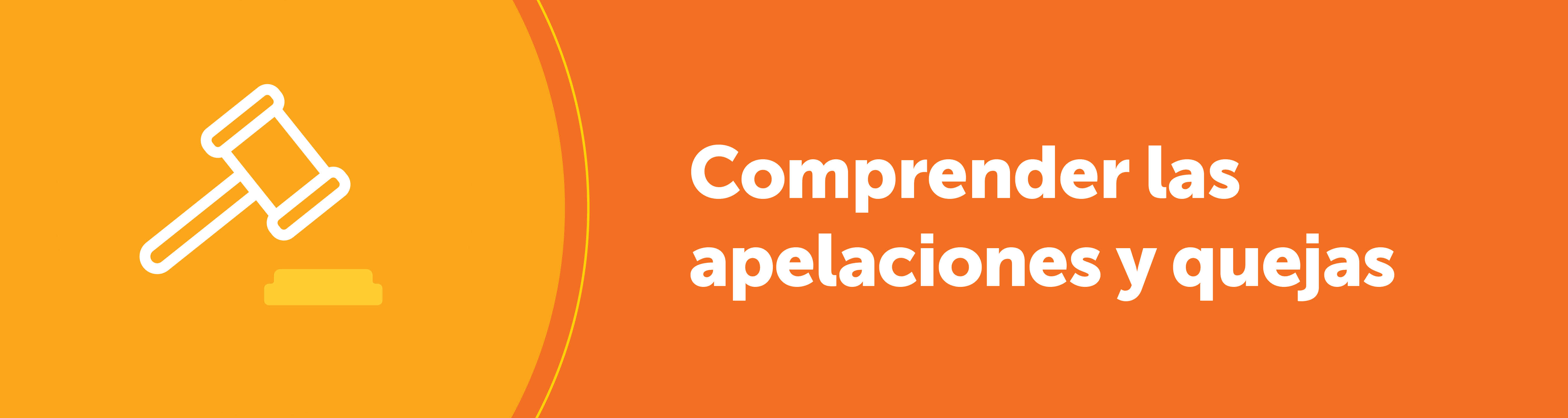 comprender la autorización previa