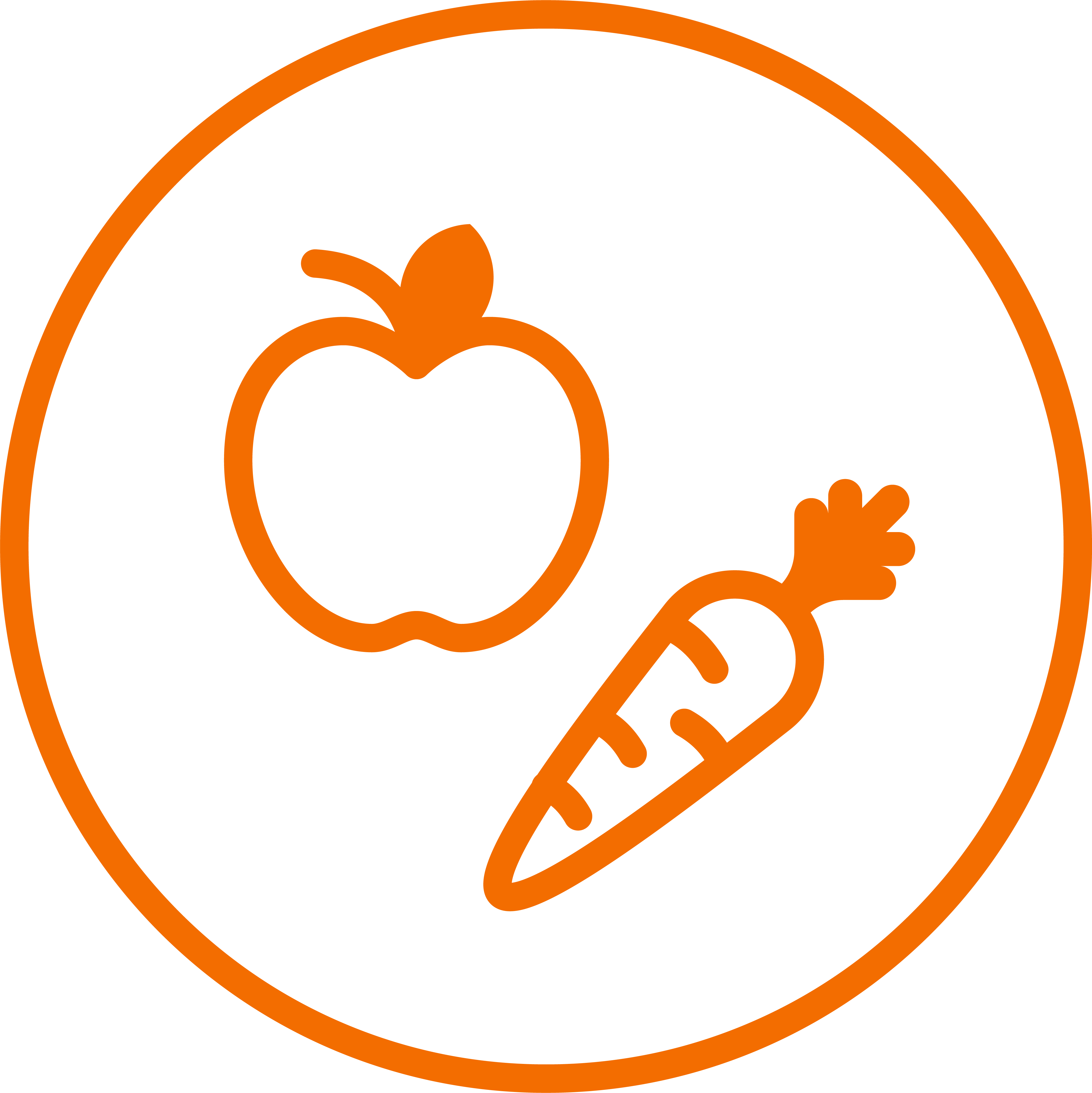 apple and carrot icon